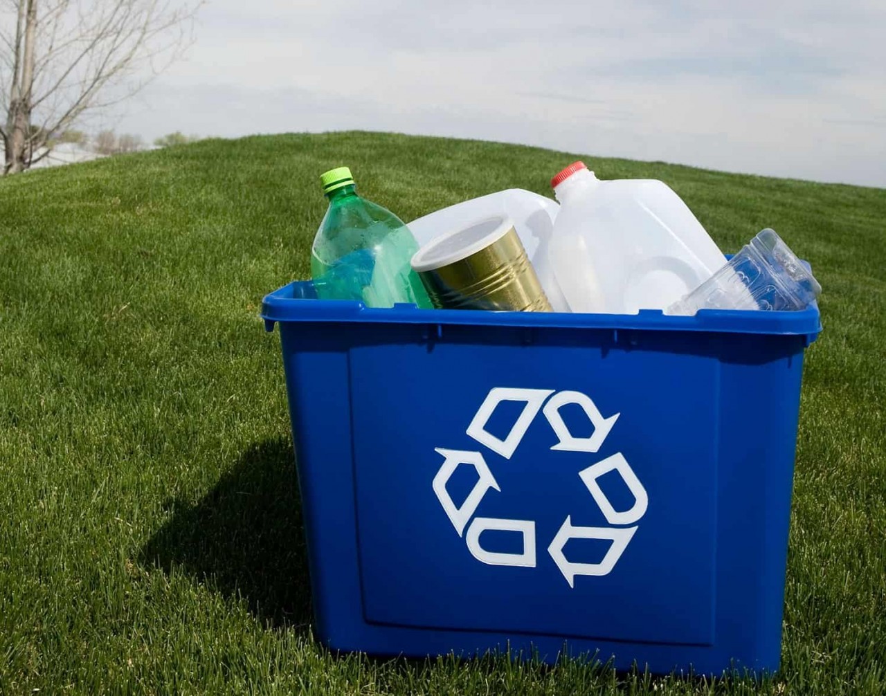 How to Ensure Best Recycling Practices in Your Business